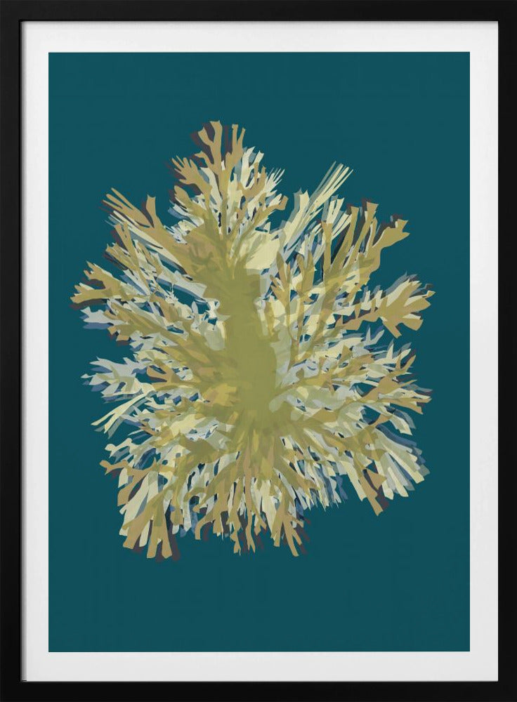 Seetang-Poster 1 | Poster