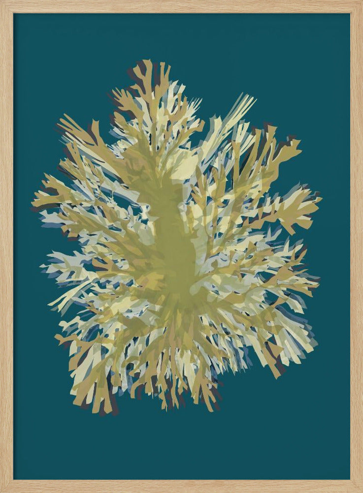 Seetang-Poster 1 | Poster