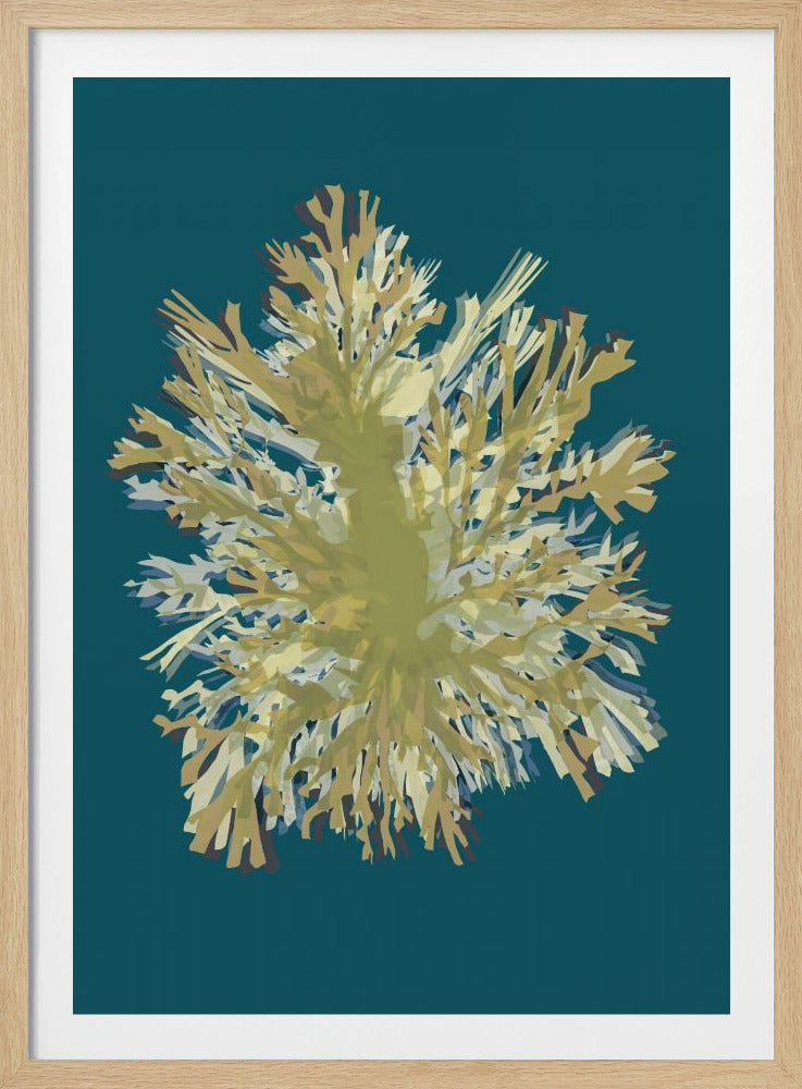 Seetang-Poster 1 | Poster