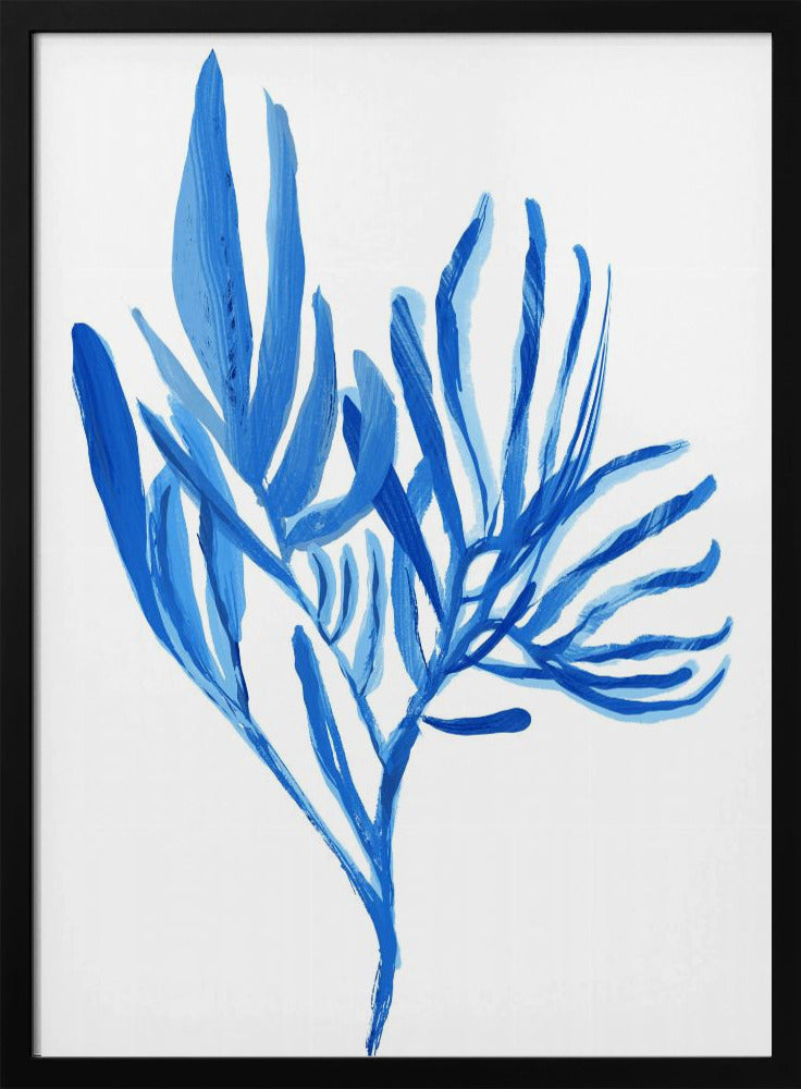 Blue Aquatice Plant Poster 5 | Poster