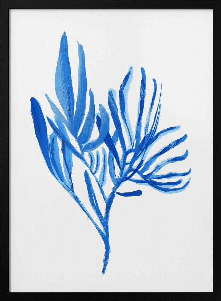 Blue Aquatice Plant Poster 5 | Poster