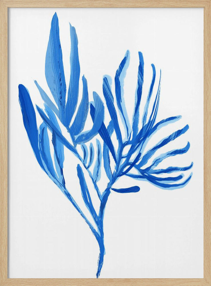 Blue Aquatice Plant Poster 5 | Poster