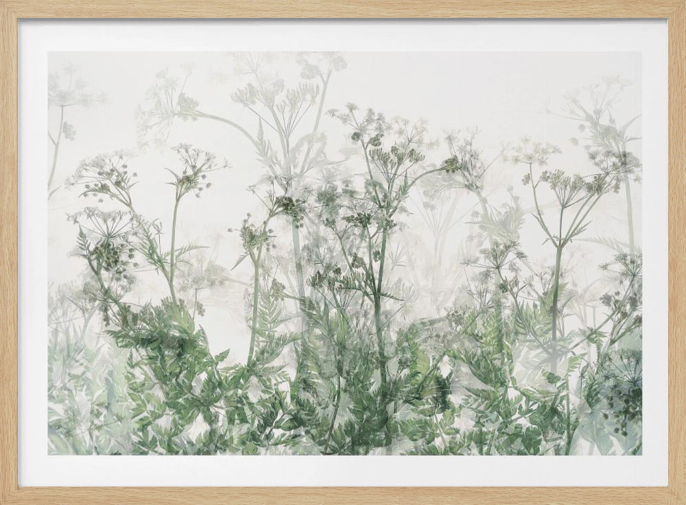 Morning atmosphere | Poster