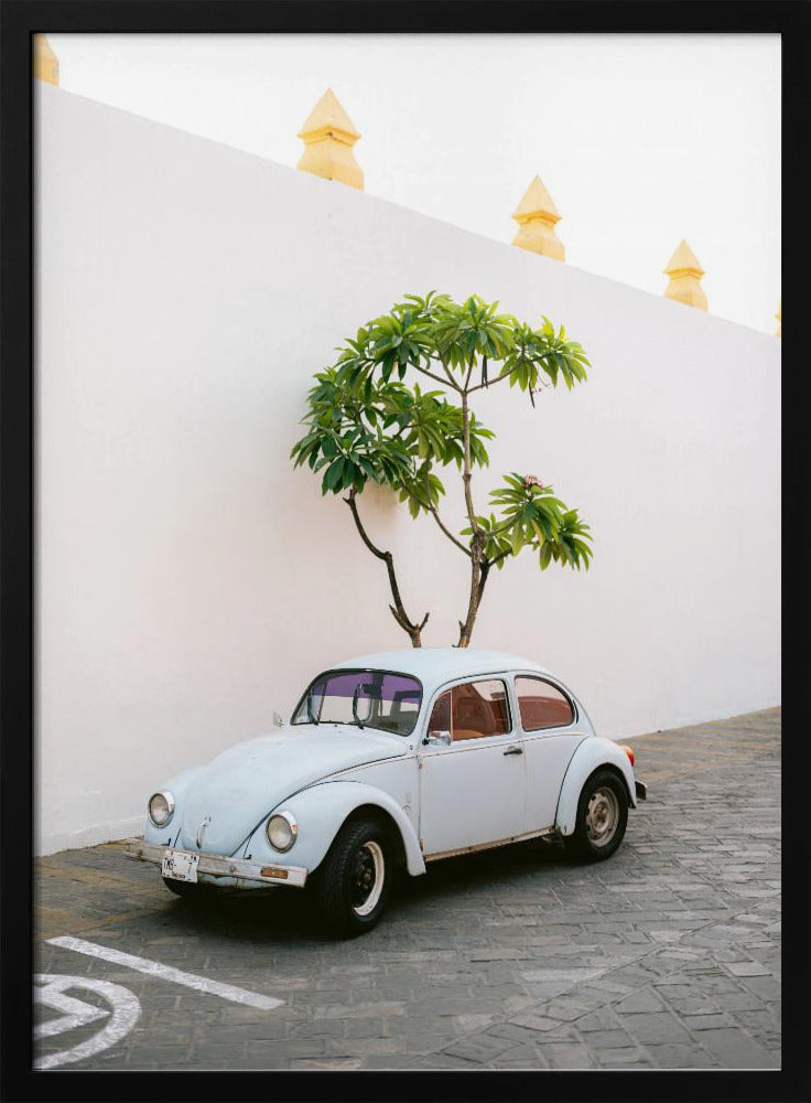 Pastellfarbener Volkswagen Käfer in den Straßen von Oaxaca, Mexiko | Poster