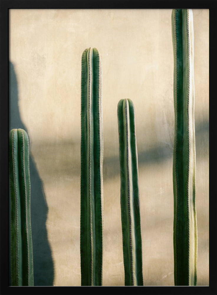Oaxaca Shades of Green | Mexiko Reisefotografie | Poster