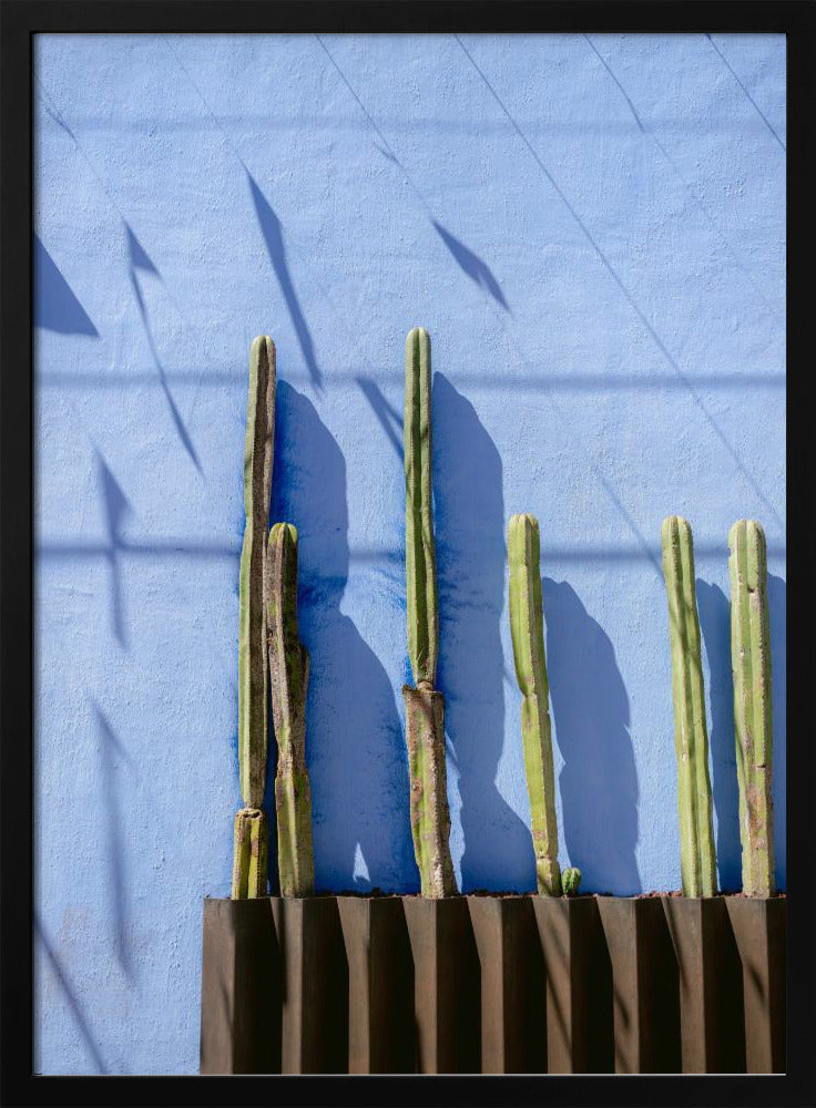 Hohe Kakteen | Reisefotografie in Oaxaca, Mexiko | Poster