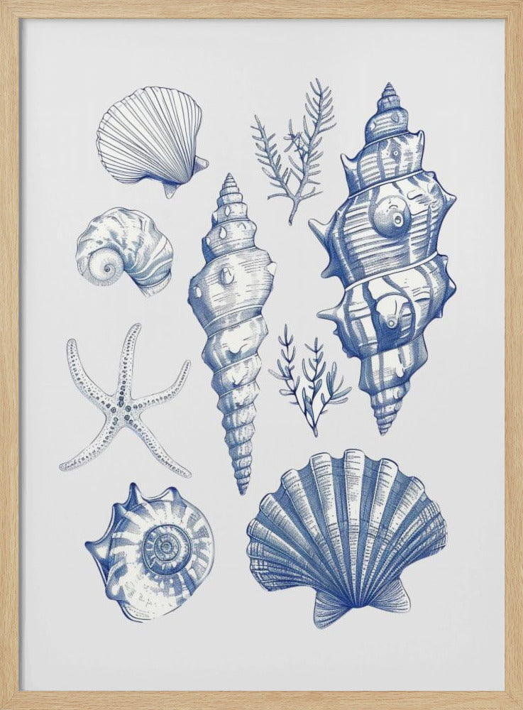 Muschelcollage | Poster