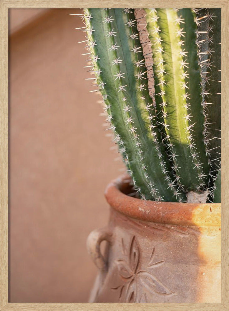 Grün auf Orange | Marrakesch Reisefotografie | Poster