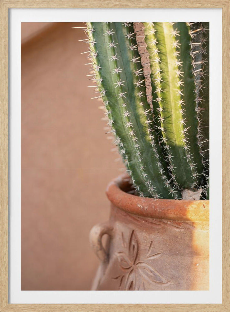 Grün auf Orange | Marrakesch Reisefotografie | Poster