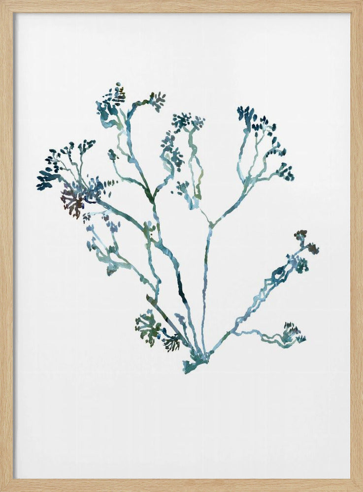 Zarte blaue Blumen 2 | Poster