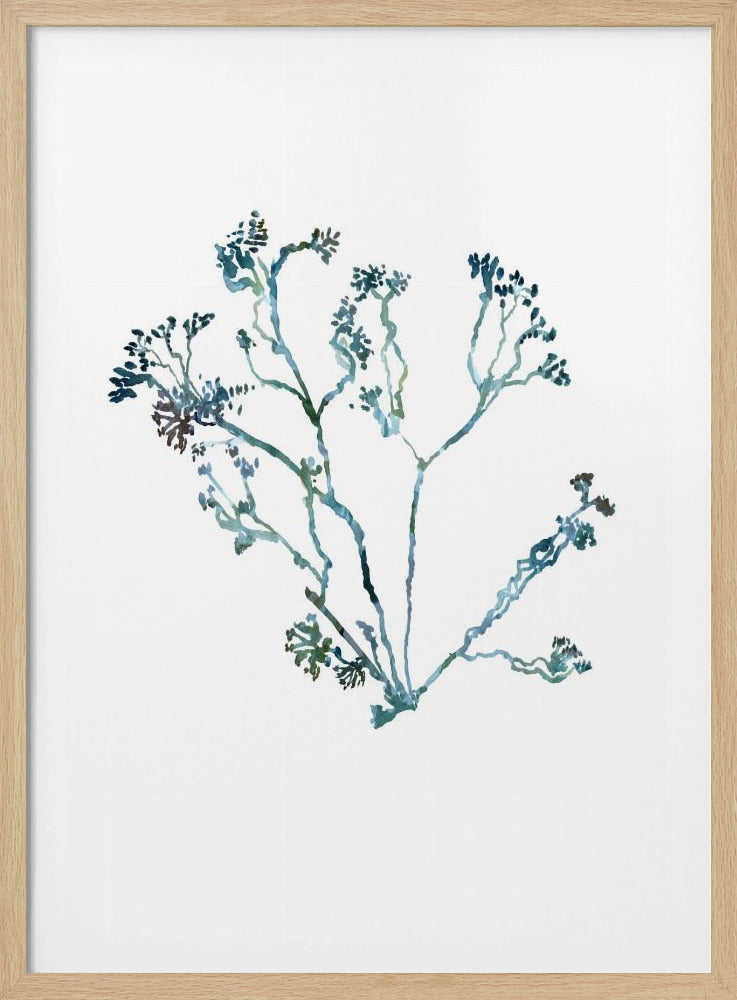 Zarte blaue Blumen 2 | Poster