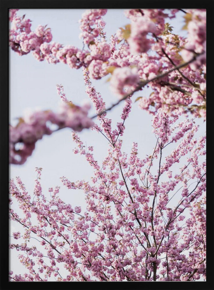 Bunter Frühling 11 | Poster