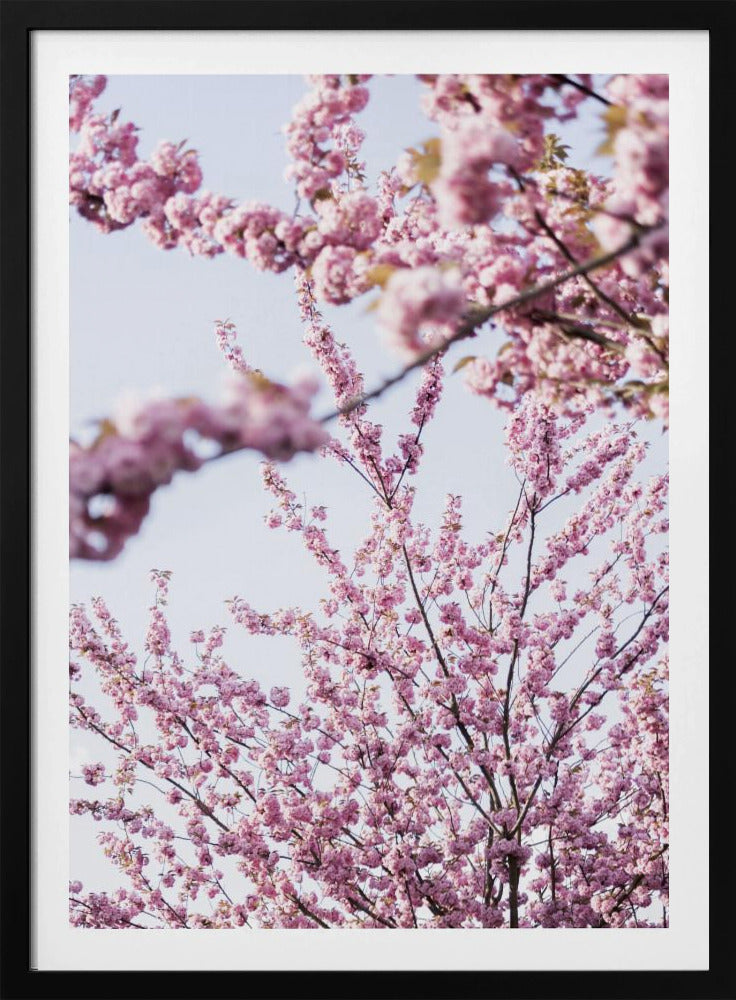 Bunter Frühling 11 | Poster