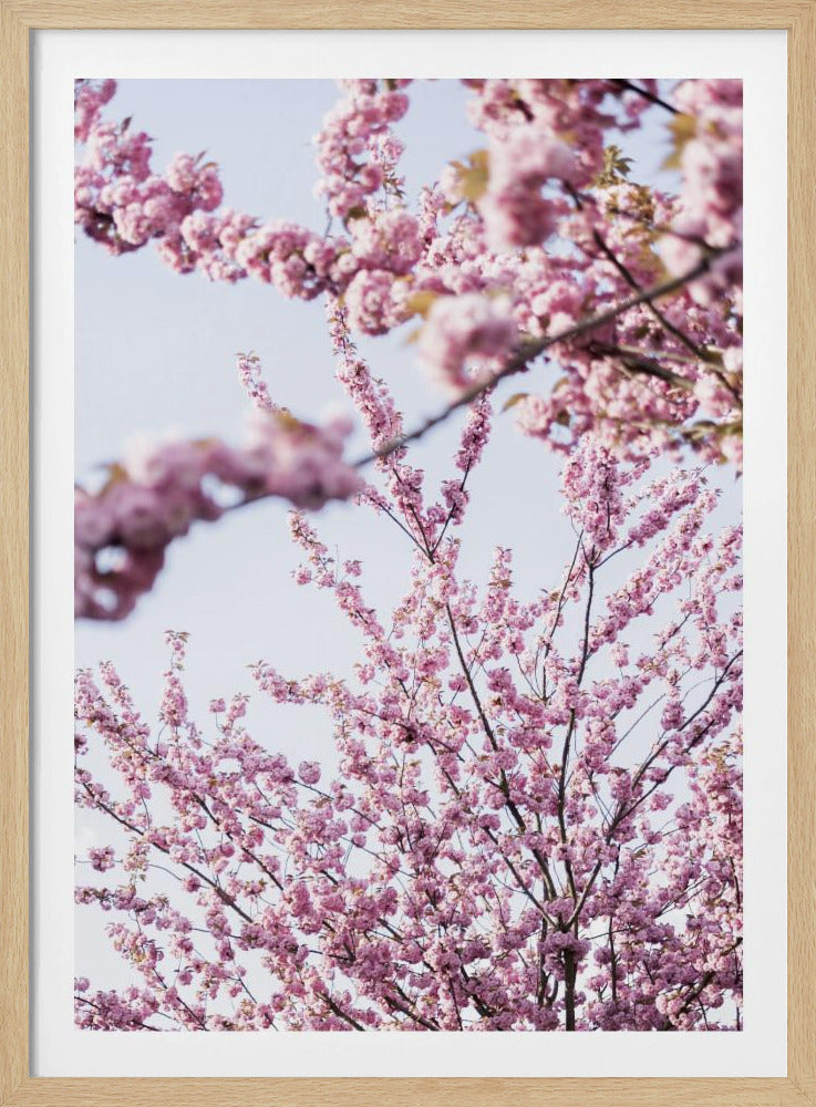 Bunter Frühling 11 | Poster