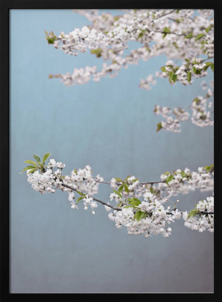 Bunter Frühling 14 | Poster
