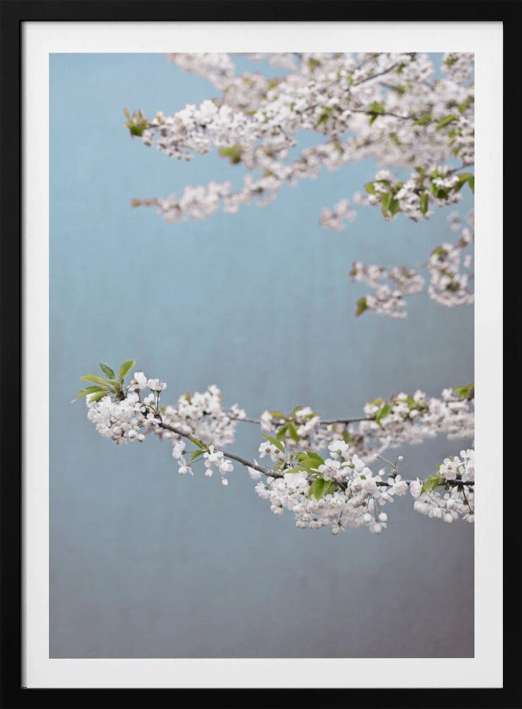 Bunter Frühling 14 | Poster