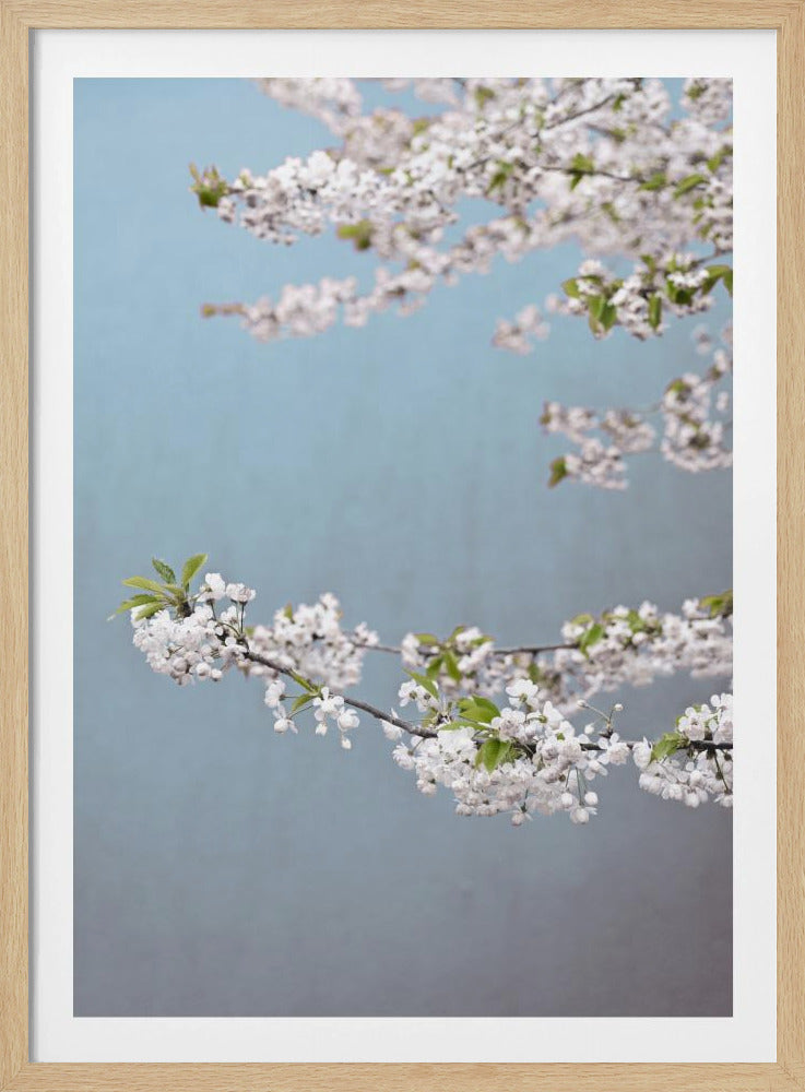 Bunter Frühling 14 | Poster