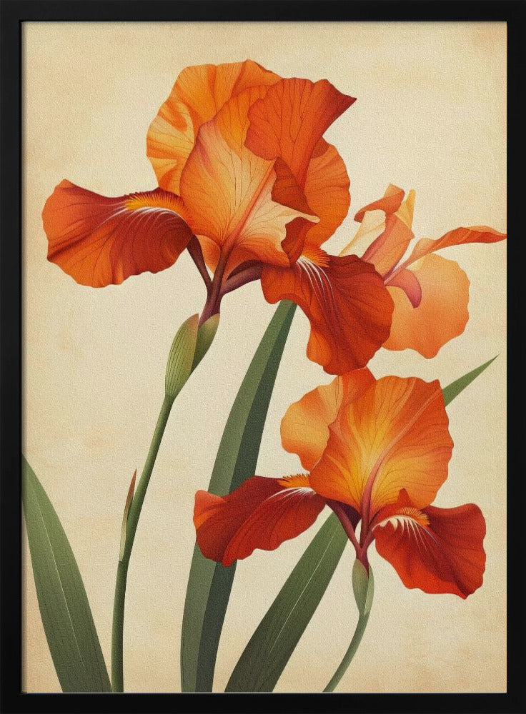 Poster Leinwand Sng Iris 37 | Poster