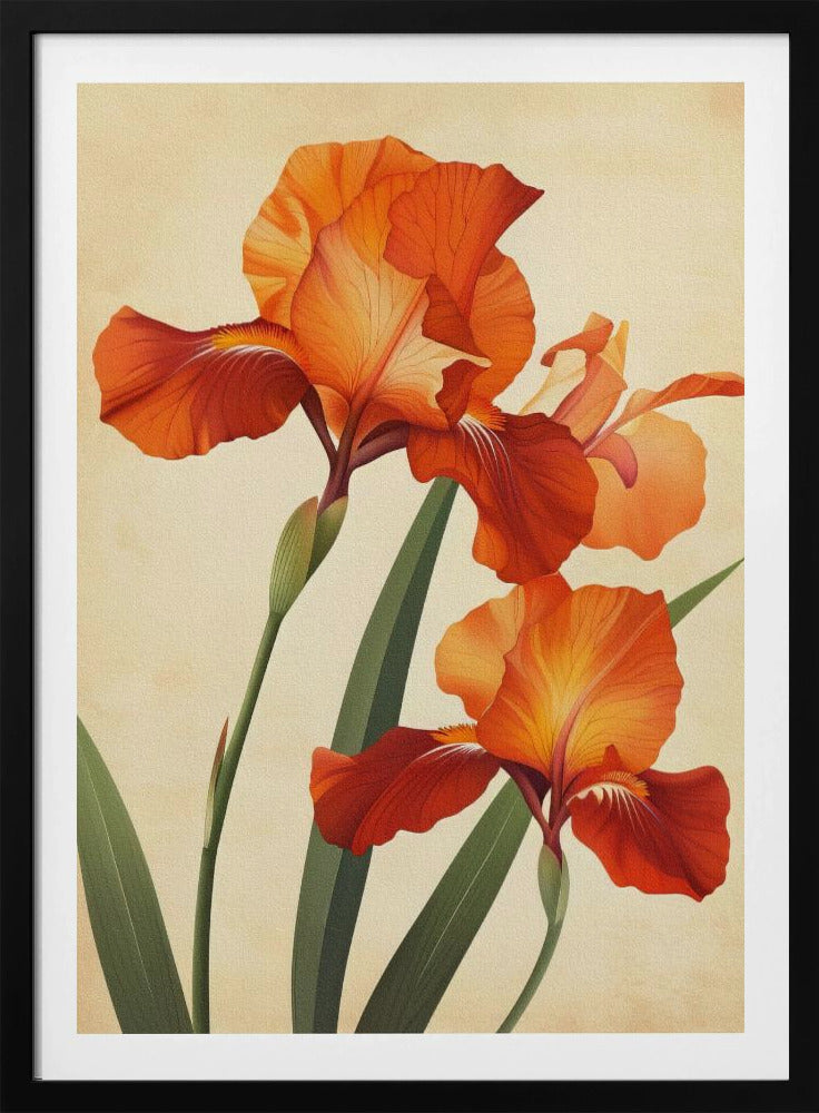 Poster Leinwand Sng Iris 37 | Poster