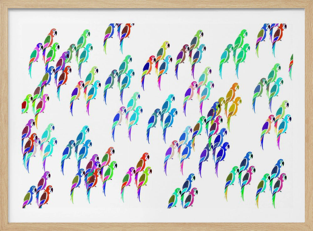 Parakeet Mix | Poster