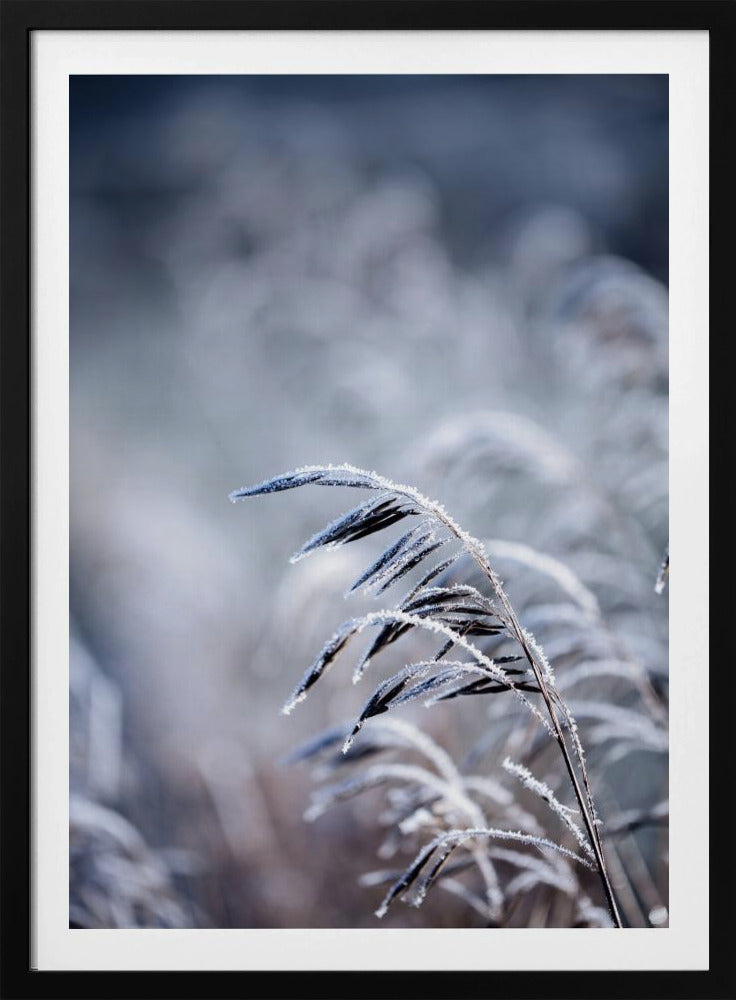 Frostiger Morgen 5 | Poster