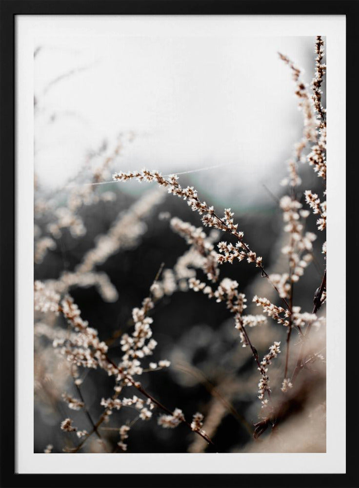 Unbekannt 10 | Poster