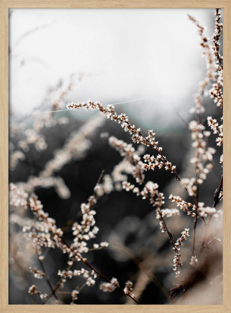 Unbekannt 10 | Poster