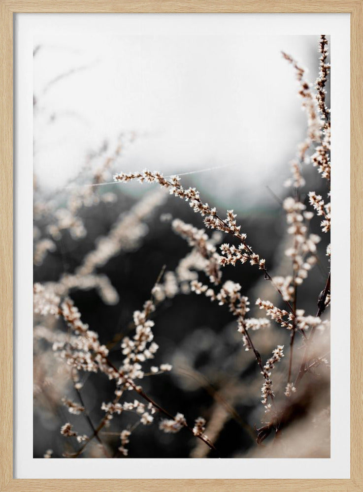 Unbekannt 10 | Poster