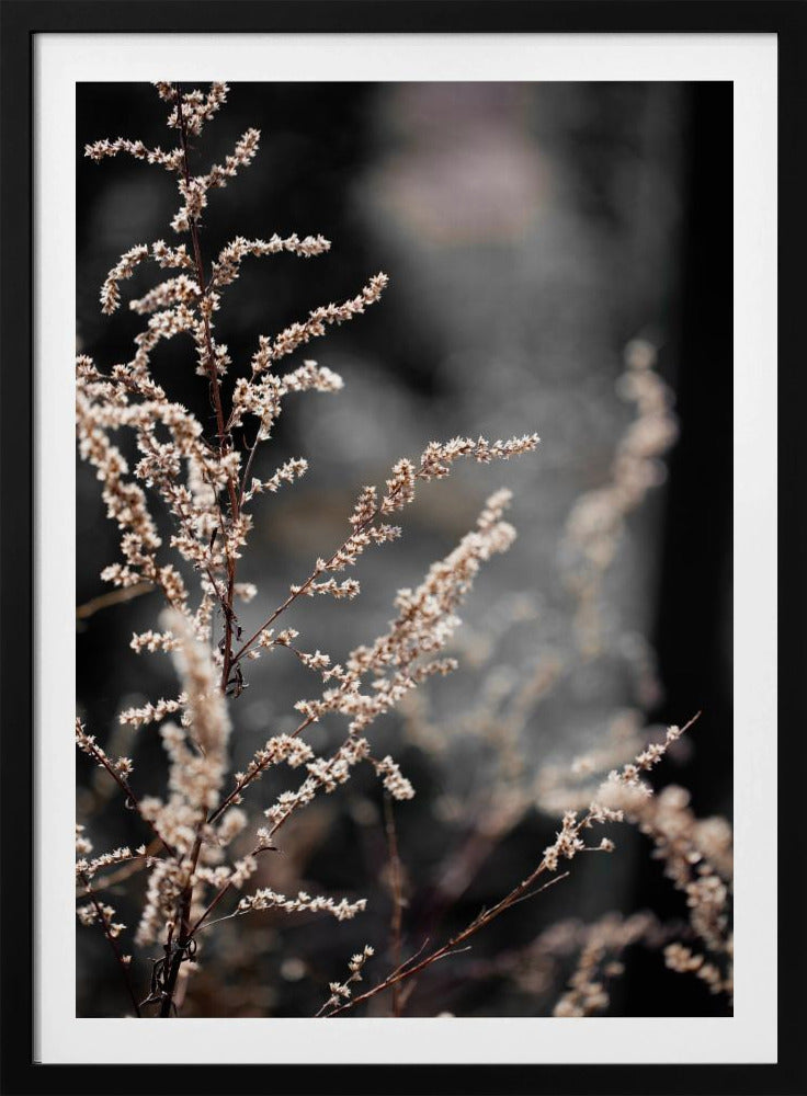 Unbekannt 9 | Poster