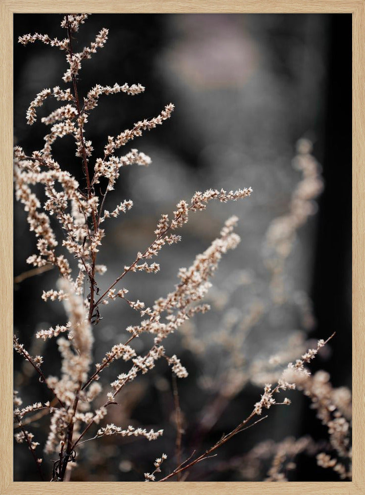 Unbekannt 9 | Poster