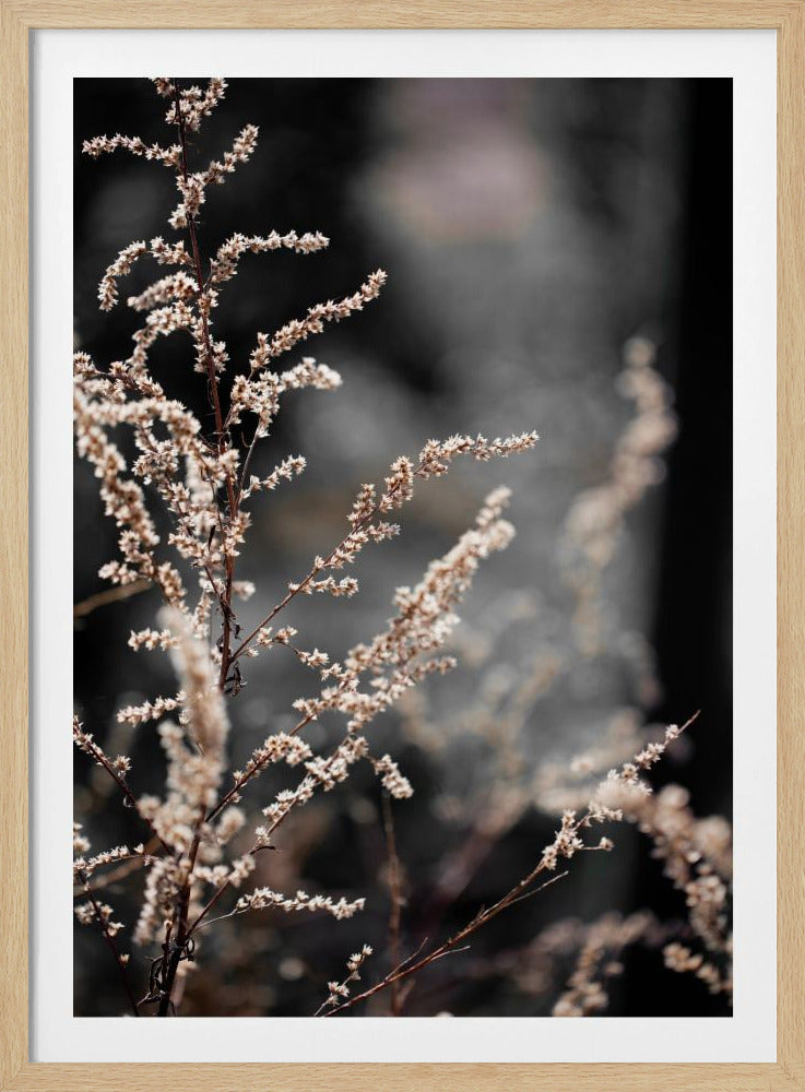 Unbekannt 9 | Poster