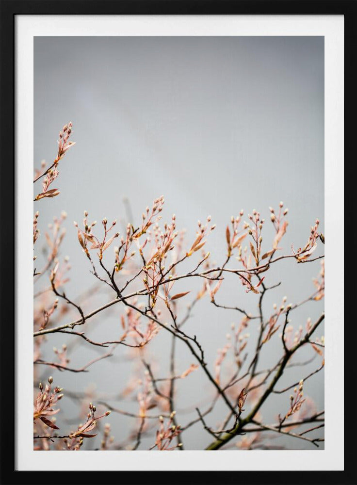 Unbekannt 11 | Poster