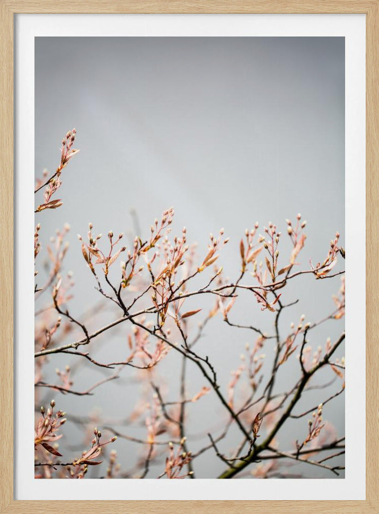 Unbekannt 11 | Poster