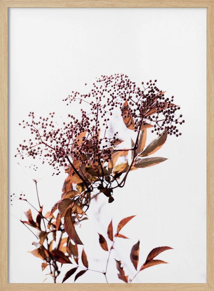Unbekannt 14 | Poster