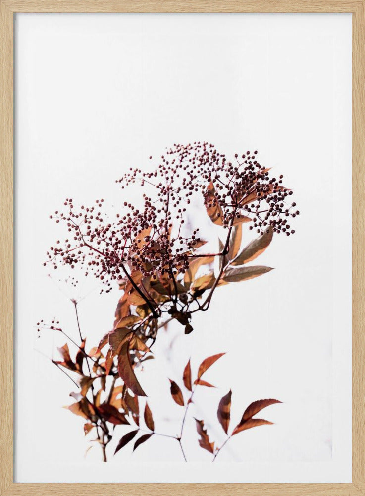 Unbekannt 14 | Poster