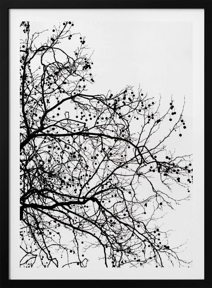 Wintersilhouetten 5 | Poster