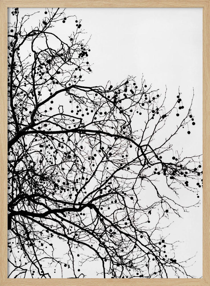 Wintersilhouetten 5 | Poster