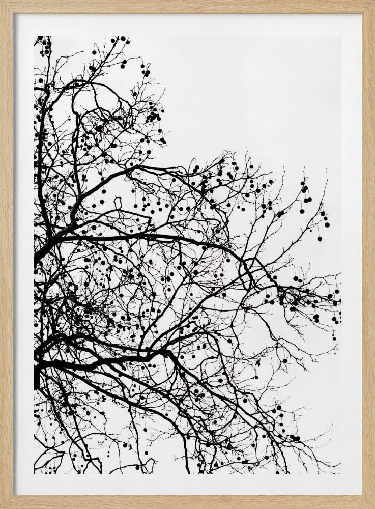 Wintersilhouetten 5 | Poster