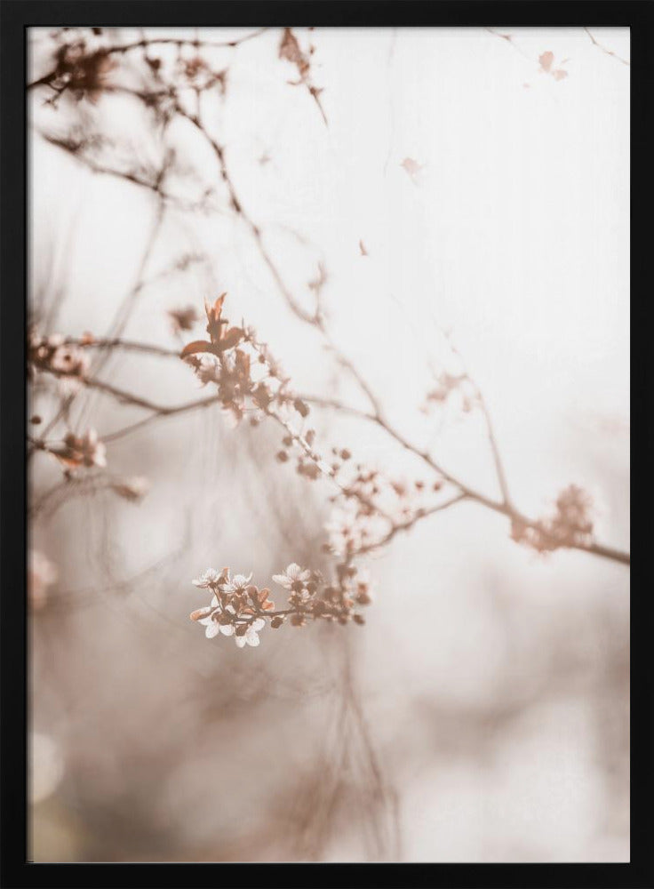 Letzter Frühling 3 | Poster
