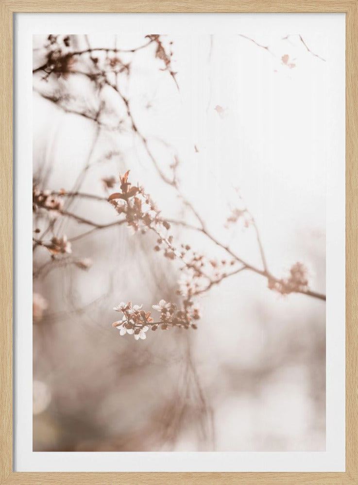 Letzter Frühling 3 | Poster