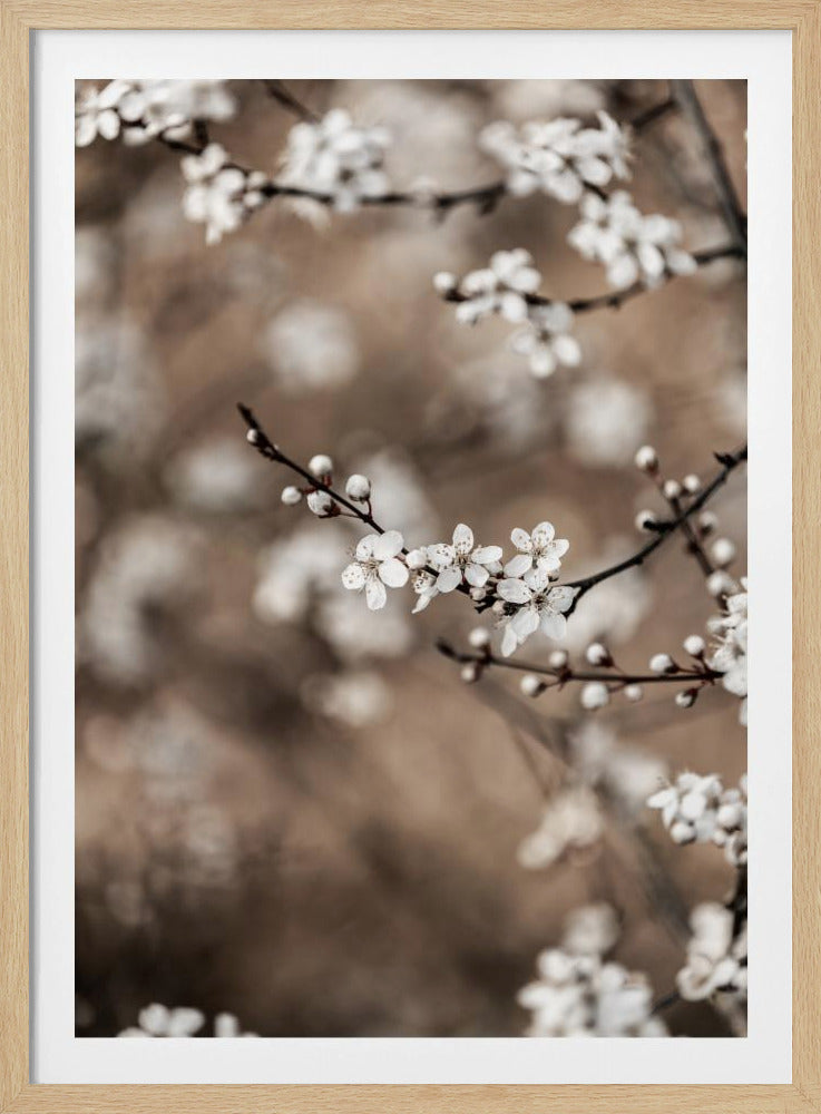 Letzter Frühling 1 | Poster