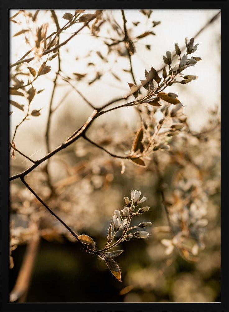 Letzter Frühling 4 | Poster