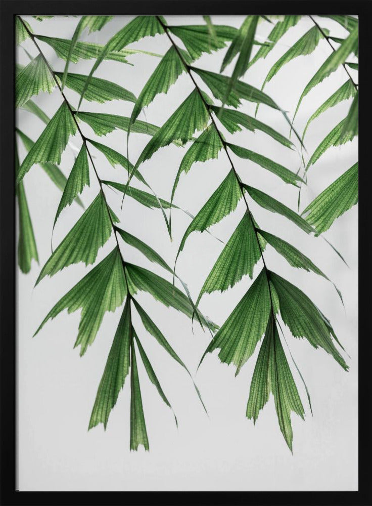 Sommerzweige 3 | Poster