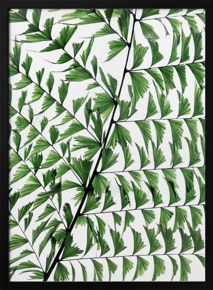 Sommerzweige 4 | Poster