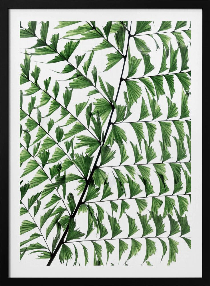 Sommerzweige 4 | Poster