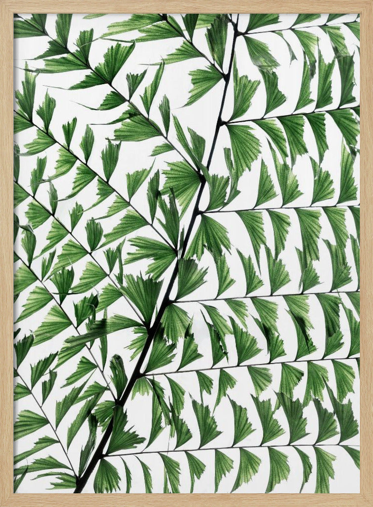 Sommerzweige 4 | Poster