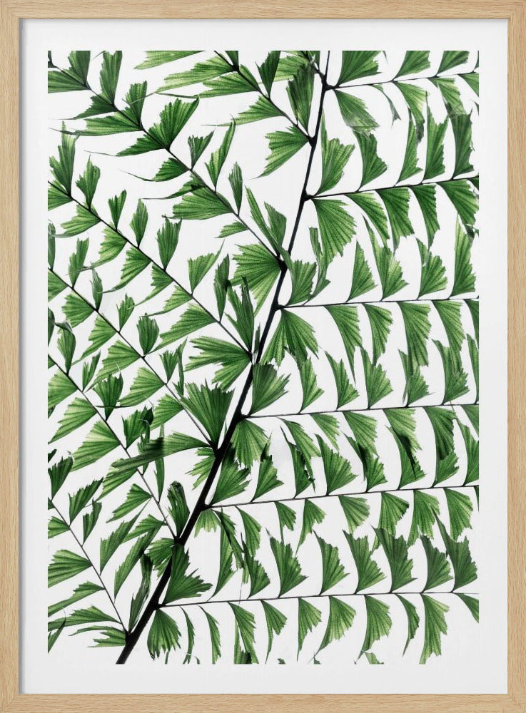 Sommerzweige 4 | Poster