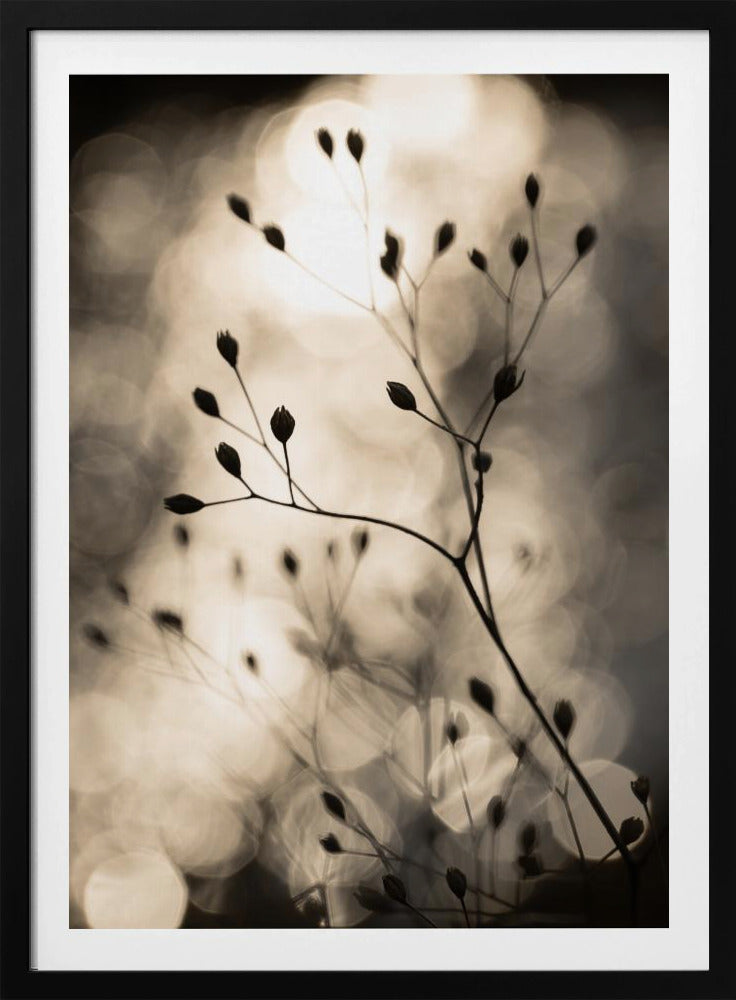Sonnensilhouetten 1 | Poster