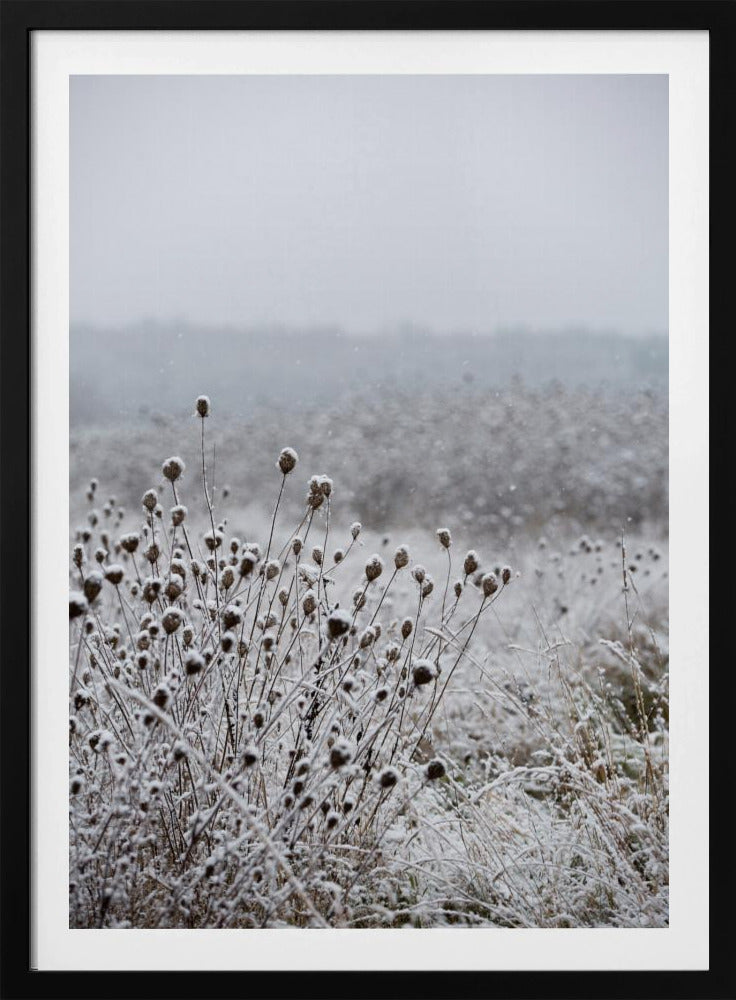 Winterfeld 4 | Poster