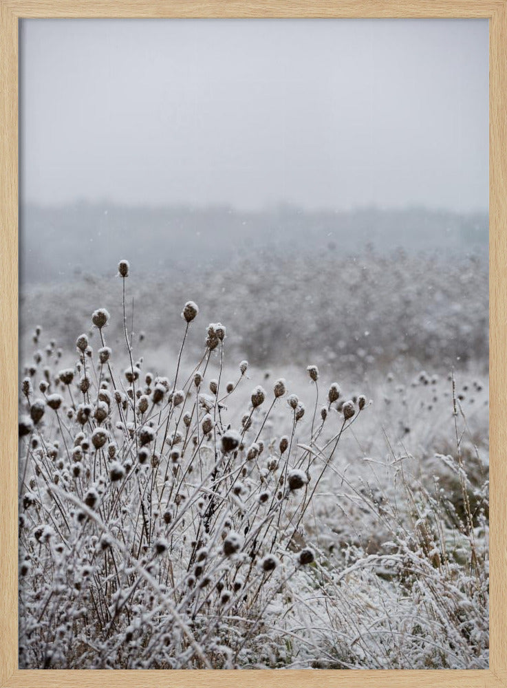 Winterfeld 4 | Poster